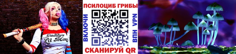 закладки Покров Галлюциногенные грибы мицелий