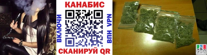Конопля сатива  закладки  Покров 